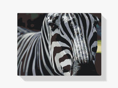 Diamond Painting - Fokus auf Zebra - SEOS®