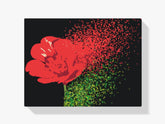 Diamantmalerei - Geblasene Blume - SEOS Shop ®