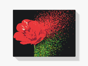 Diamantmalerei - Geblasene Blume - SEOS Shop ®