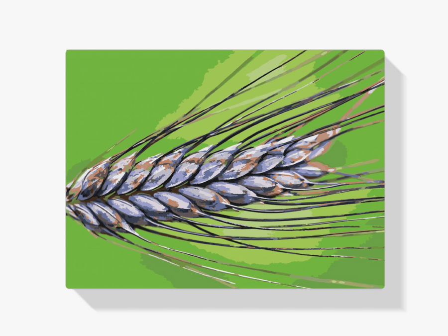 Diamond Painting - Maserung - SEOS Shop ®