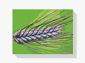 Diamond Painting - Maserung - SEOS Shop ®