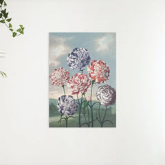 Diamond Painting - Nelkengruppe - SEOS Shop ®