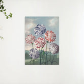 Diamond Painting - Nelkengruppe - SEOS Shop ®