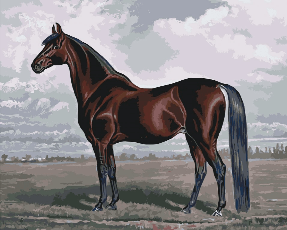 Diamond Painting – Das majestätische Pferd – SEOS®