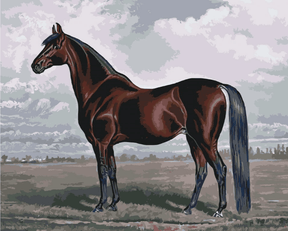 Diamond Painting – Das majestätische Pferd – SEOS®