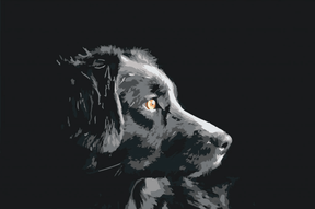 Diamond Painting – Das Aussehen des Hundes – SEOS®
