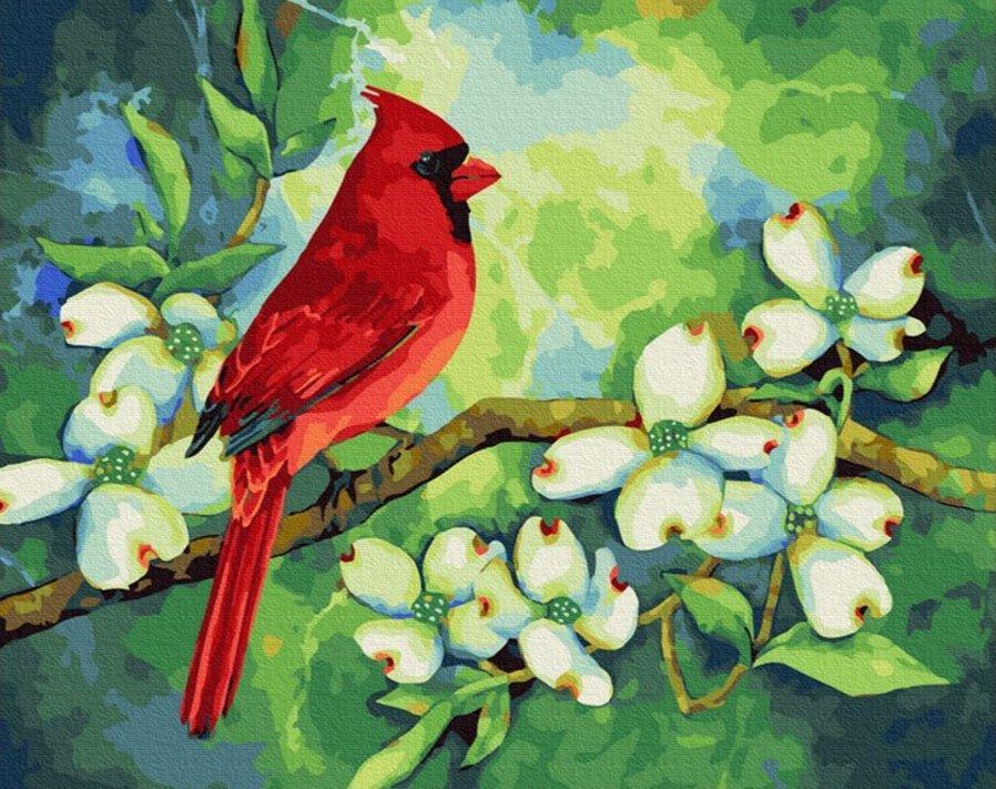 Diamantmalerei - Kardinal - SEOS®