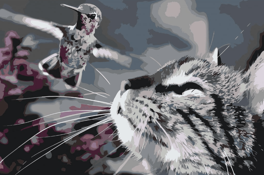 Diamantmalerei – Katze und Vogel – SEOS®
