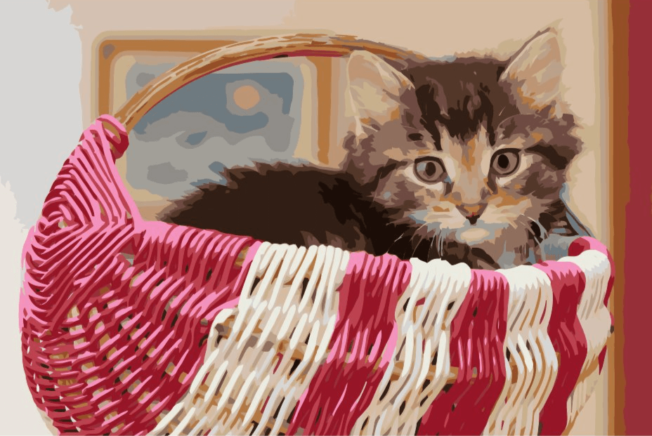 Diamantmalerei - Katze im Korb - SEOS®