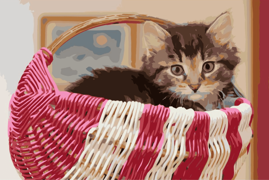 Diamantmalerei - Katze im Korb - SEOS®