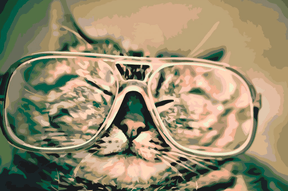 Diamantmalerei - Katze mit Brille - SEOS®