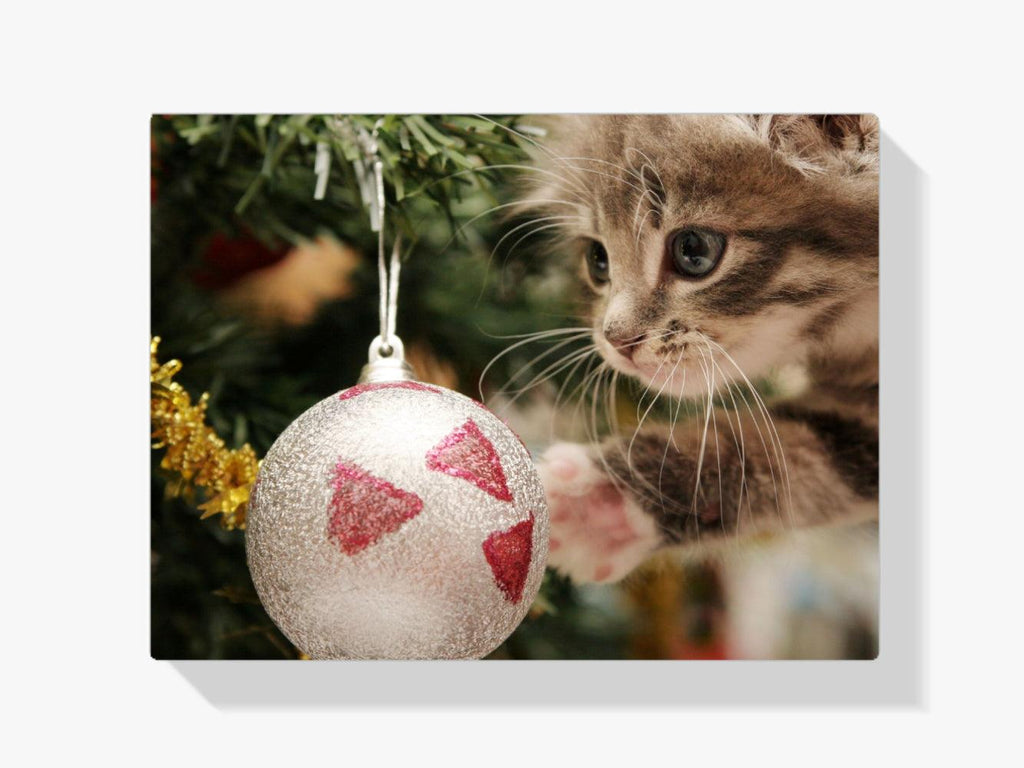 Diamond Painting - Katze mit Weihnachtskugel - SEOS®