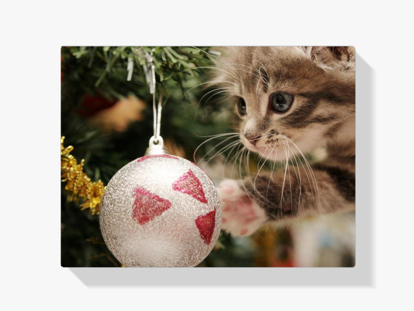 Diamond Painting - Katze mit Weihnachtskugel - SEOS®