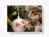 Diamond Painting - Katze mit Weihnachtskugel - SEOS®