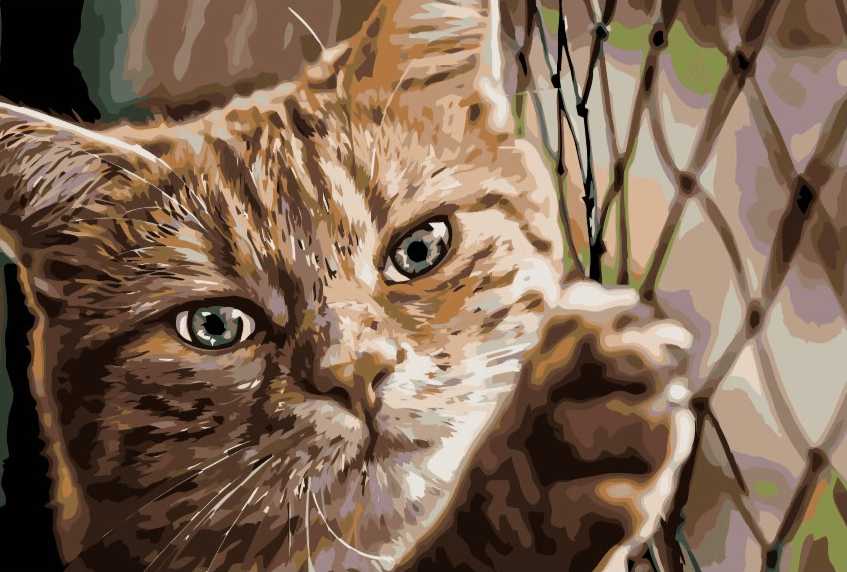 Diamantmalerei - Katze auf dem Zaun - SEOS®