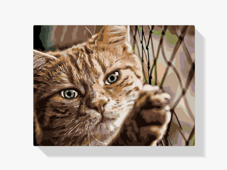Diamantmalerei - Katze auf dem Zaun - SEOS®