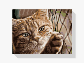 Diamantmalerei - Katze auf dem Zaun - SEOS®