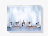 Diamantmalerei - Kleine süße Vögel - SEOS Shop ®