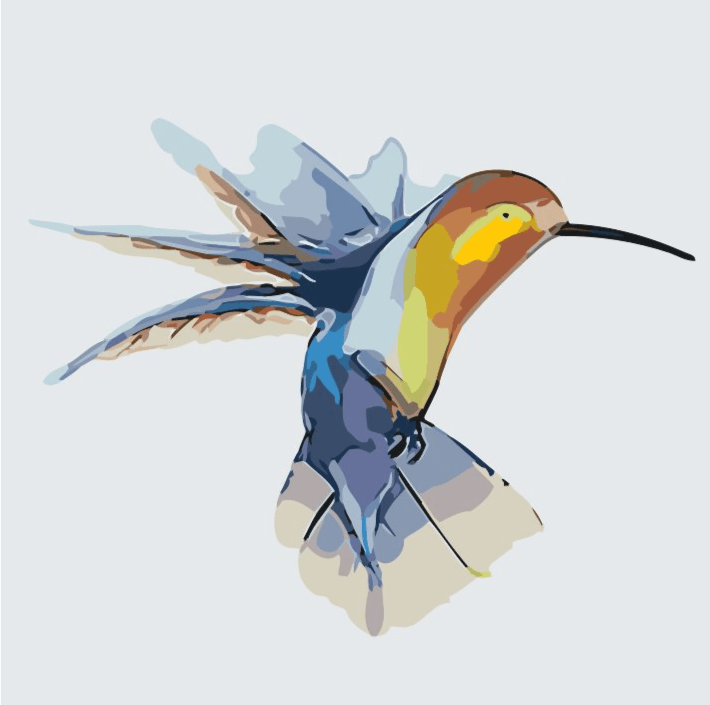 Diamantmalerei - Kolibri - SEOS®