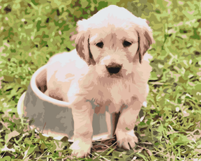 Diamantmalerei – Labrador in einer Schüssel – SEOS®