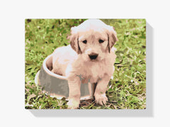 Diamantmalerei – Labrador in einer Schüssel – SEOS®