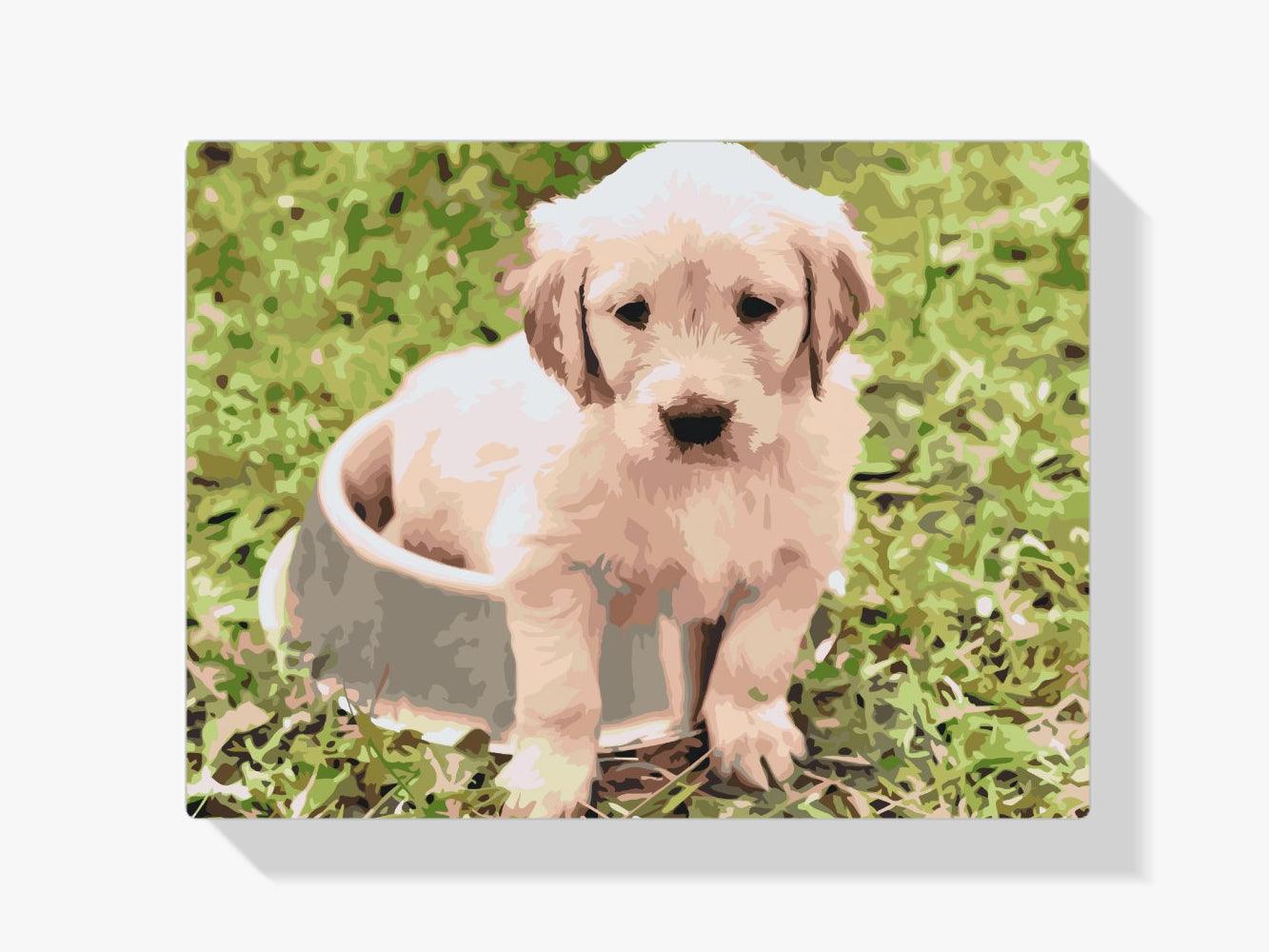 Diamantmalerei – Labrador in einer Schüssel – SEOS®