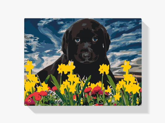 Diamantmalerei - Labradorwelpe - SEOS®