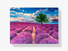 Diamantmalerei - Lavendelfelder der Provence - SEOS Shop ®