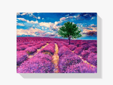 Diamantmalerei - Lavendelfelder der Provence - SEOS Shop ®