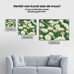 Diamantmalerei - Gänseblümchen auf der Wiese - SEOS Shop ®