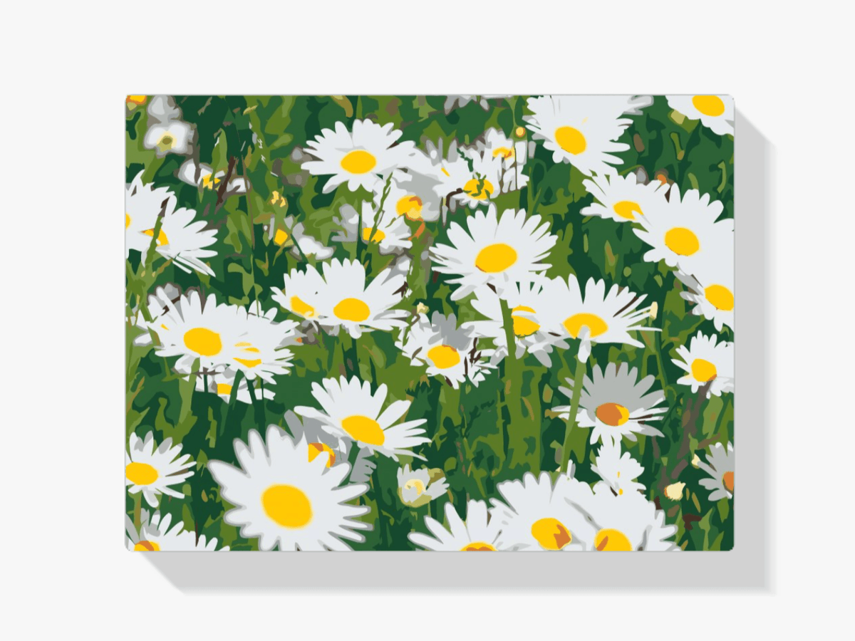 Diamantmalerei - Gänseblümchen auf der Wiese - SEOS Shop ®