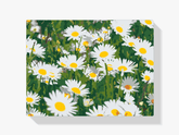 Diamantmalerei - Gänseblümchen auf der Wiese - SEOS Shop ®