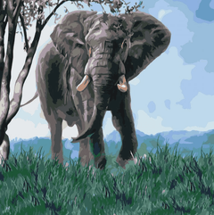 Diamantmalerei - Elefant in der Natur - SEOS®