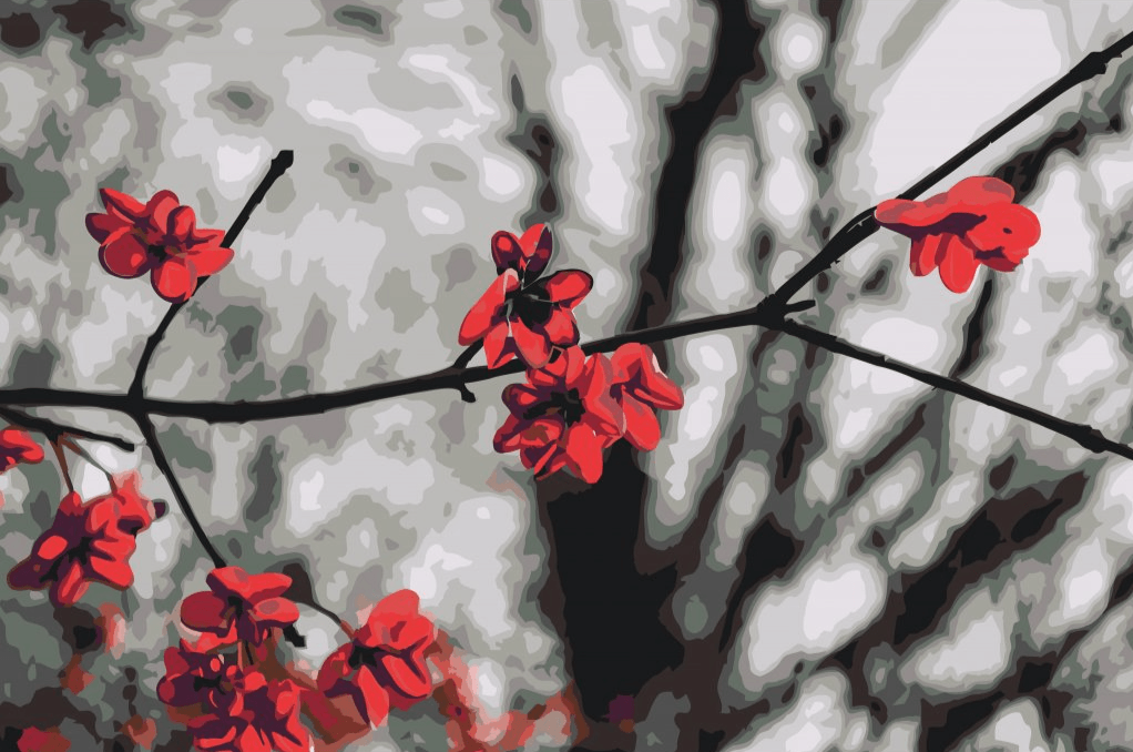 Diamantmalerei - Rote Blumen auf dem Baum - SEOS Shop ®