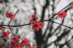 Diamantmalerei - Rote Blumen auf dem Baum - SEOS Shop ®