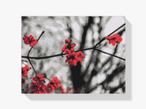 Diamantmalerei - Rote Blumen auf dem Baum - SEOS Shop ®