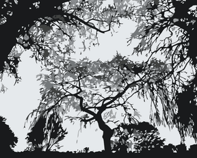 Diamantmalerei - Baumsilhouette - SEOS Shop ®