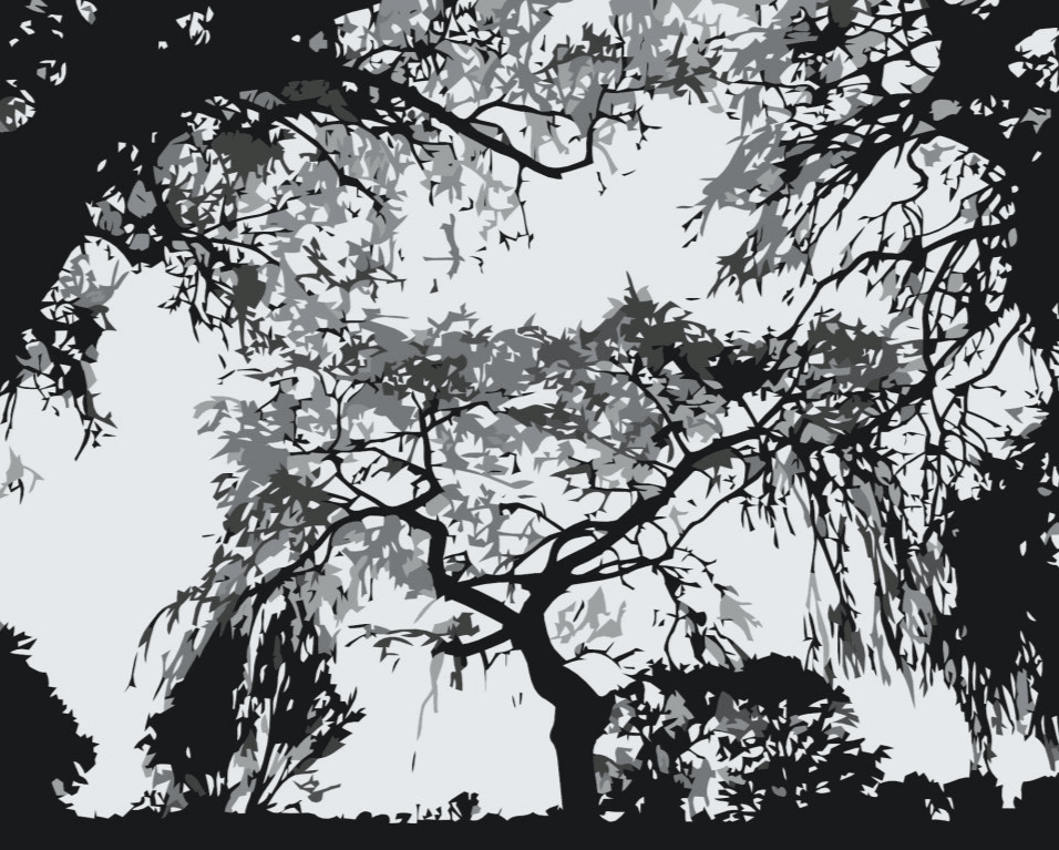 Diamantmalerei - Baumsilhouette - SEOS Shop ®