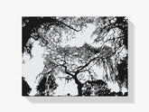 Diamantmalerei - Baumsilhouette - SEOS Shop ®