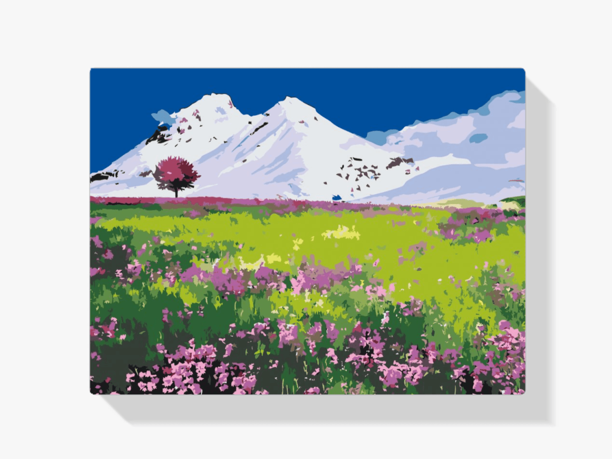 Diamond Painting - Wiese inmitten der Berge - SEOS Shop ®