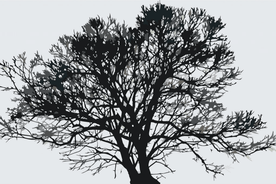 Diamantmalerei - Schwarz-Weiß-Baum - SEOS Shop ®