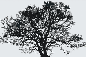Diamantmalerei - Schwarz-Weiß-Baum - SEOS Shop ®