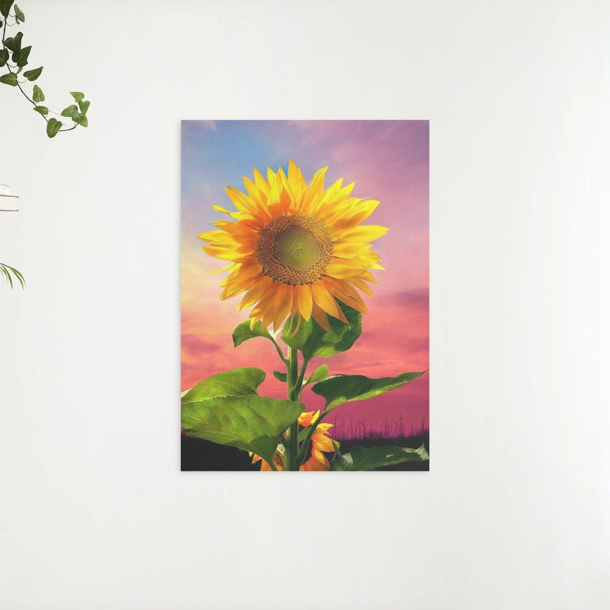 Diamantmalerei - Sonnenblume im Feld - SEOS Shop ® 