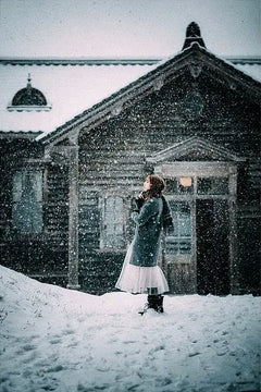 Diamantmalerei - Schneetag