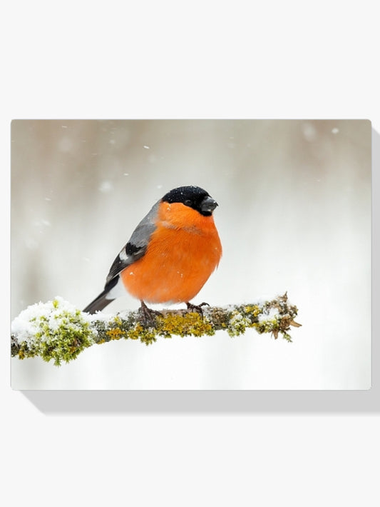 Diamantmalerei - Stolz