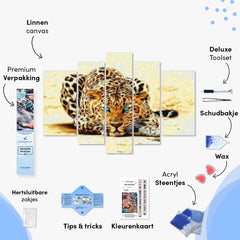 Diamantmalerei Leopard mit blauen Augen 5-teilig - SEOS Shop ®