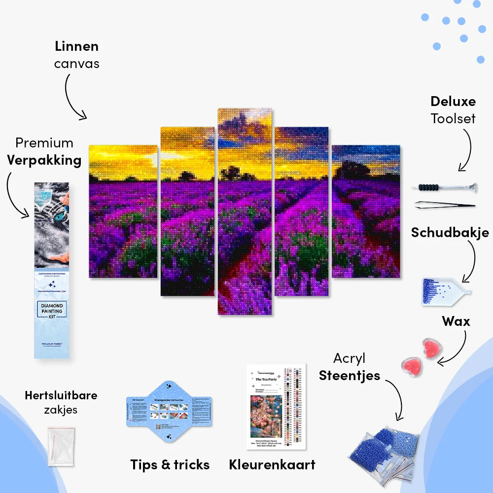 Diamantmalerei Lila Blumen auf einem Feld, 5-teilig - SEOS Shop ®