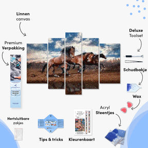Diamond Painting Laufende Pferde 5-teilig - SEOS Shop ®