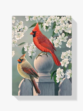Diamantmalerei – Kardinalspaar im Hinterhof