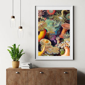 Diamantmalerei - Actiniae